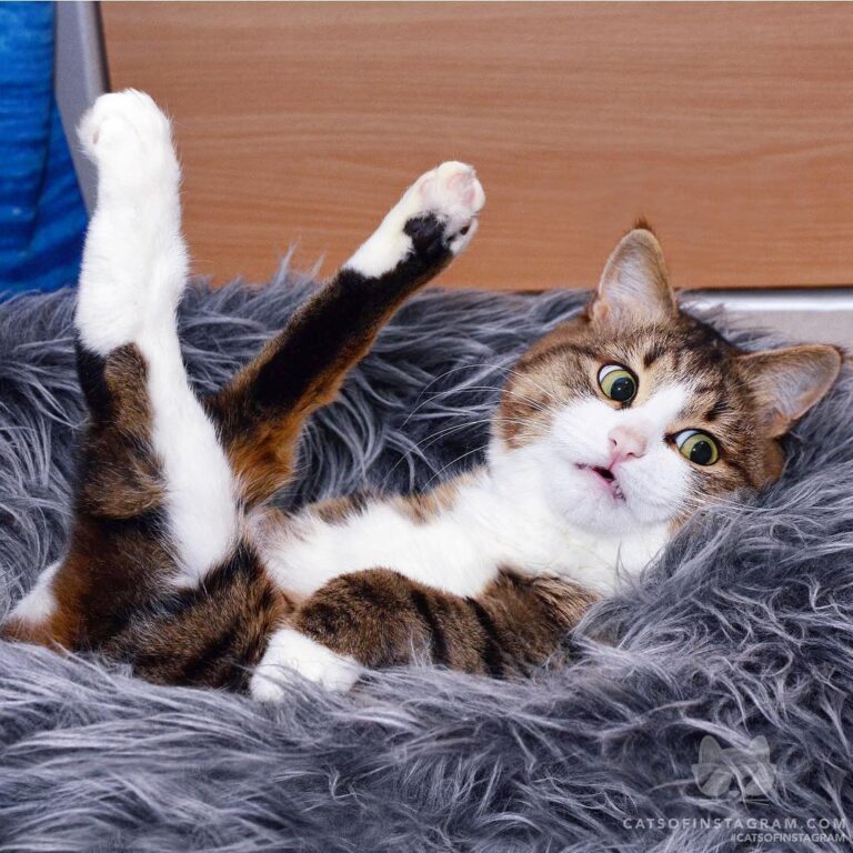 So, would anybody bring me some coffee?