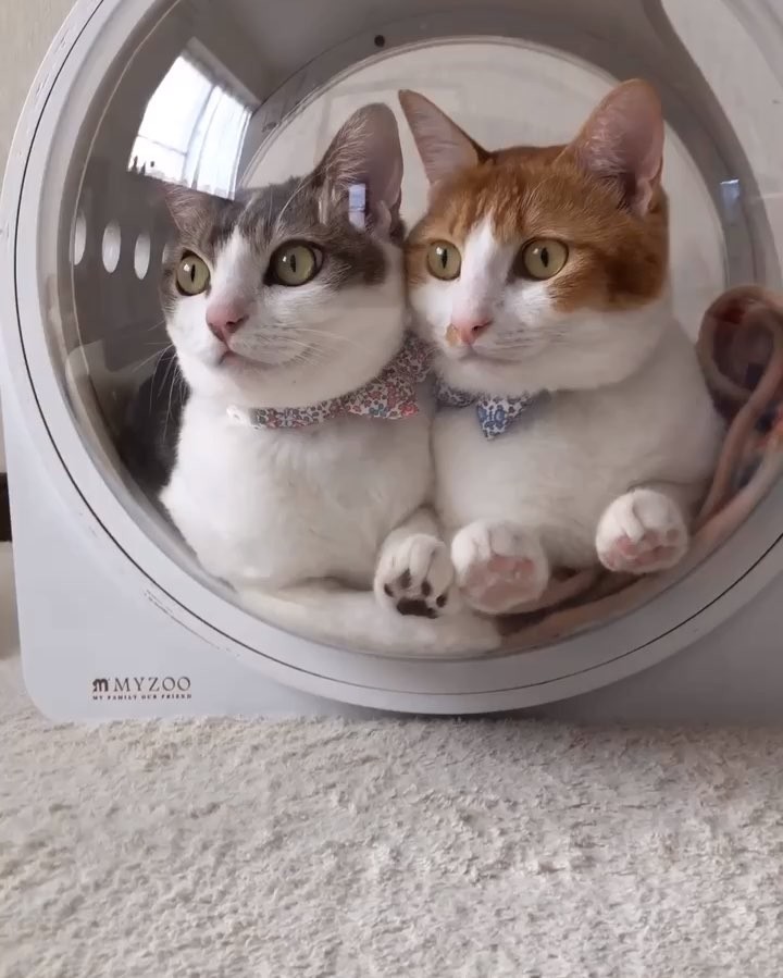 Space travel