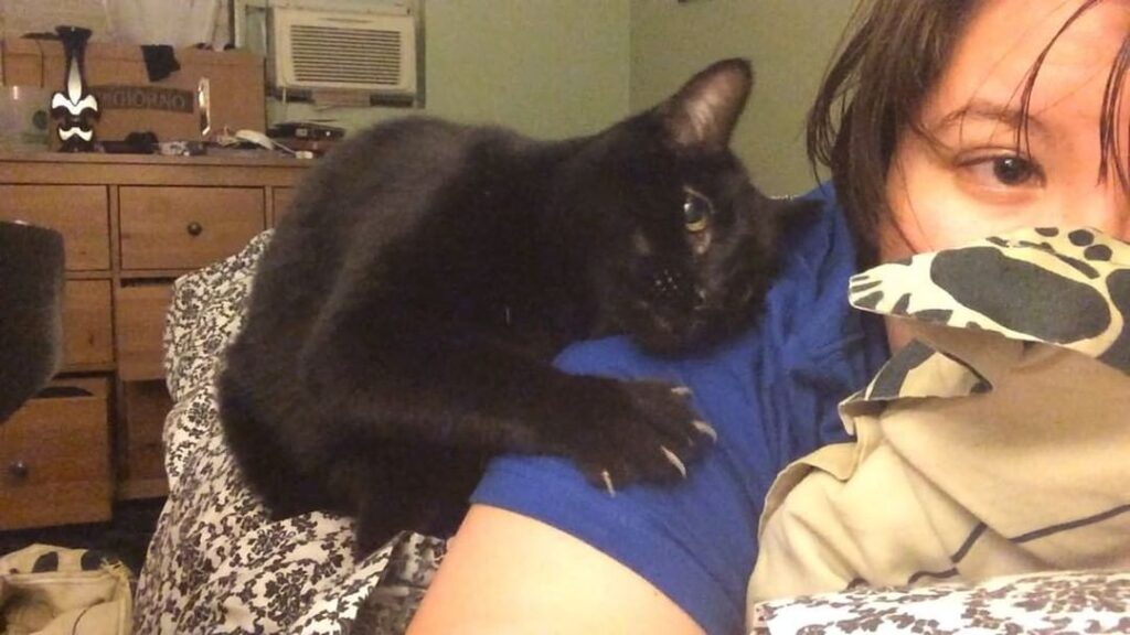 Is this thing on?