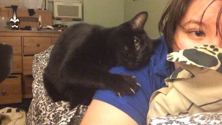 Is this thing on?