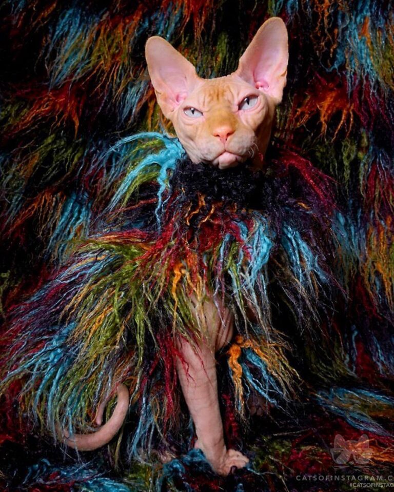 When you look this good, you can’t blend into the background