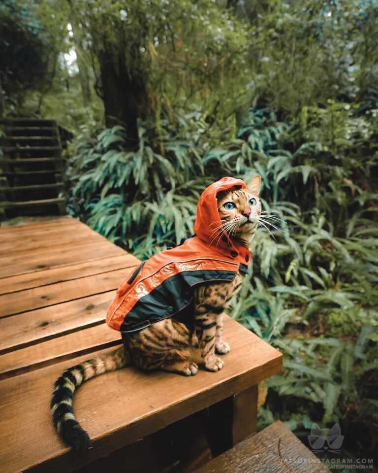 Rainy days