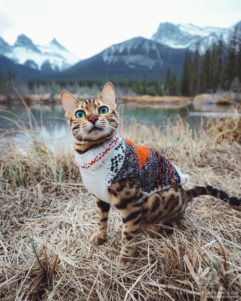 Sweater weather is coming