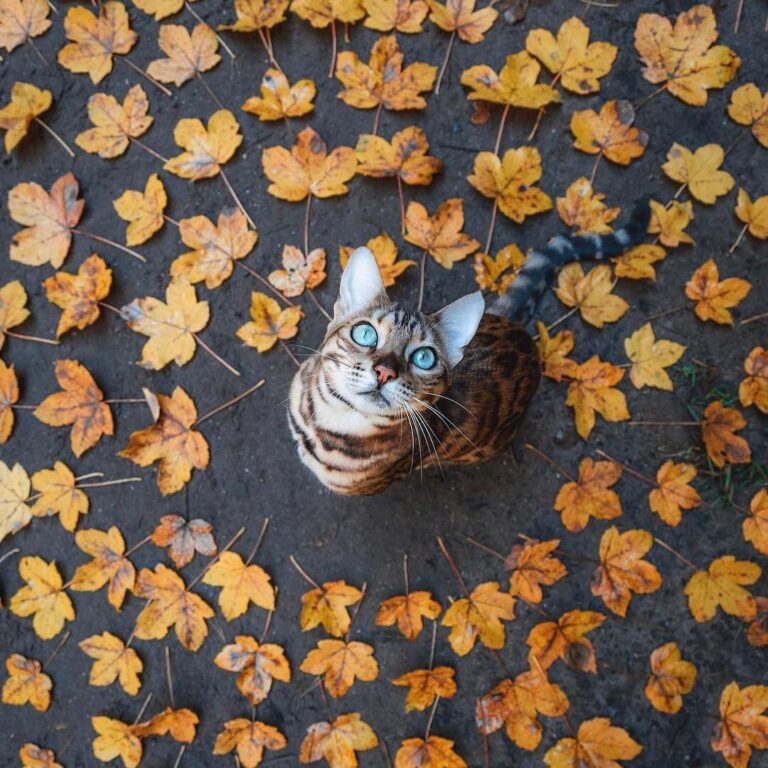 What is your favourite season?