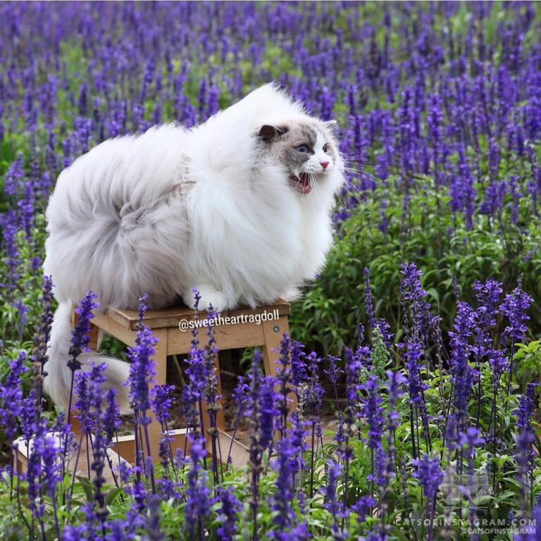 “Sunshine shouted: Look at my hair to know the wind dir