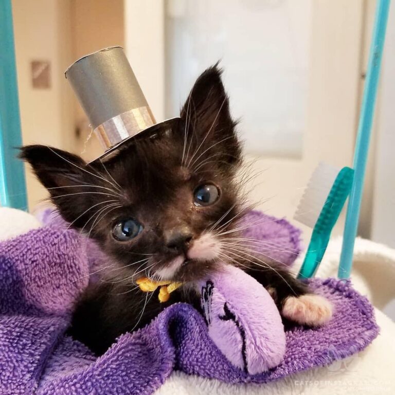 Hat of the day.