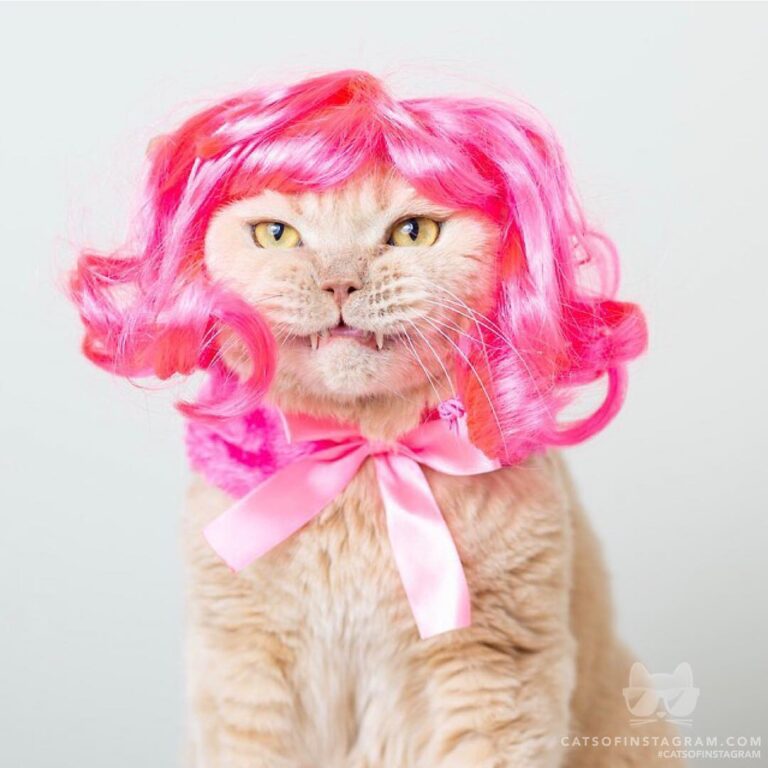 I feel pretty, oh so pretty!