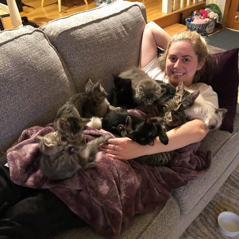 This is my preferred way to watch movies lol