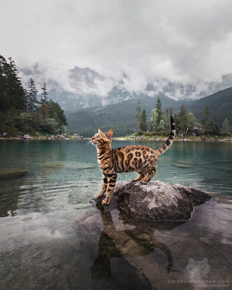 “Yesterday we went to a stunning lake called Eibsee. I h