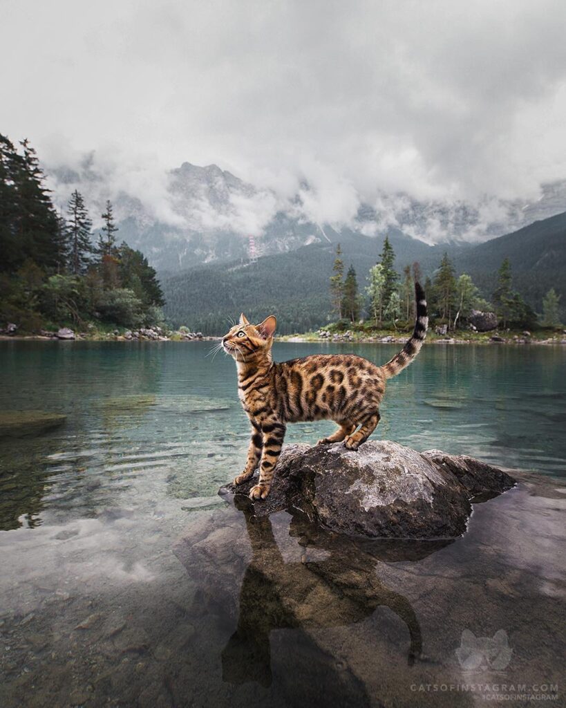 “Yesterday we went to a stunning lake called Eibsee. I h