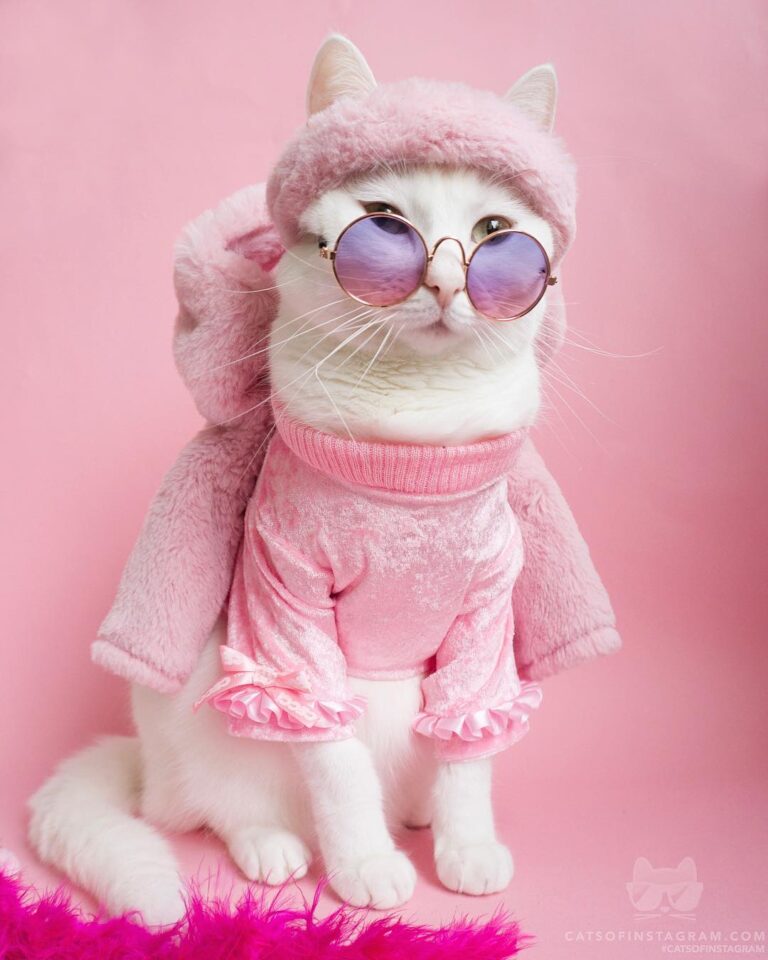 Have a Fabulous day!