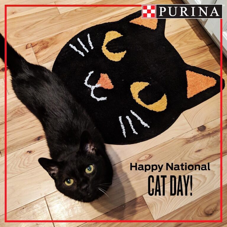 Happy from @Purina! With Halloween approaching – we’re celebrati