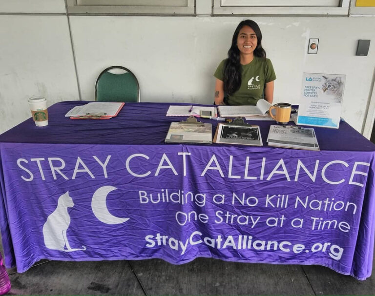 Catch us at CatCon 2018 (@catconworldwide) TOMORROW & SUNDAY! 50% of
