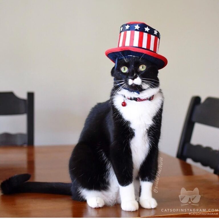 I want YOU to get more treats!