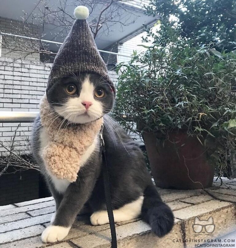 Do I look ok?