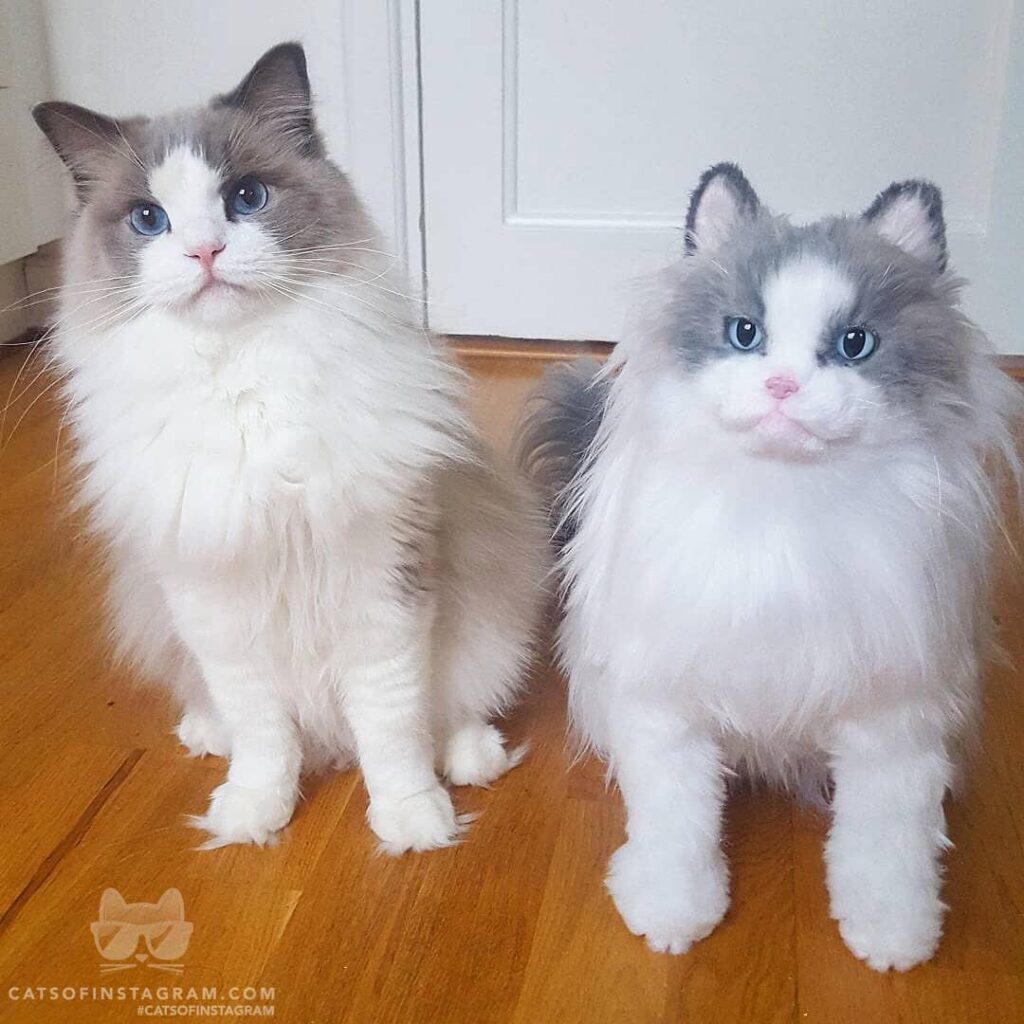 You vs. the girl he told you not to worry about.