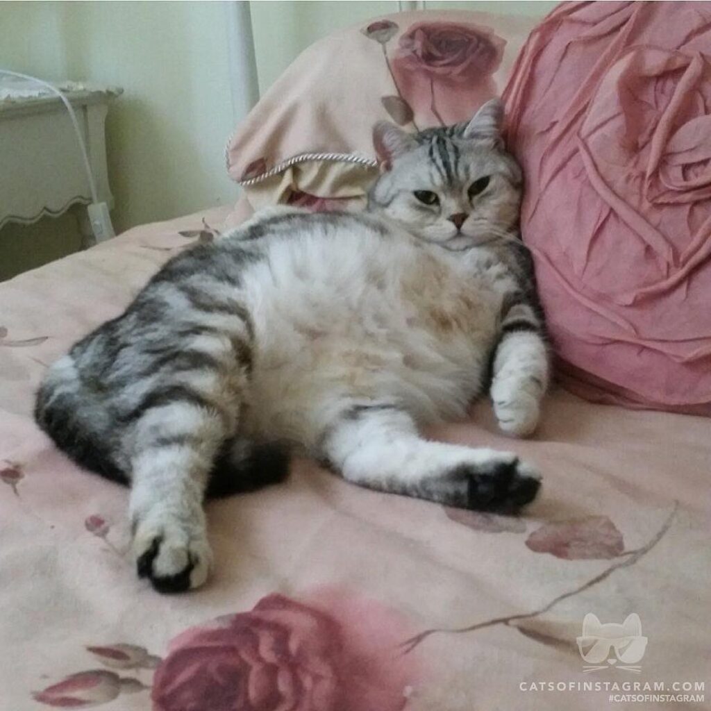 I’m just cuddly that’s all!