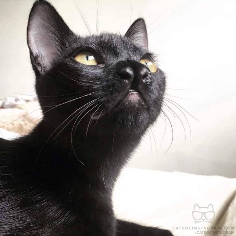 Things are looking up- the weekend is here!