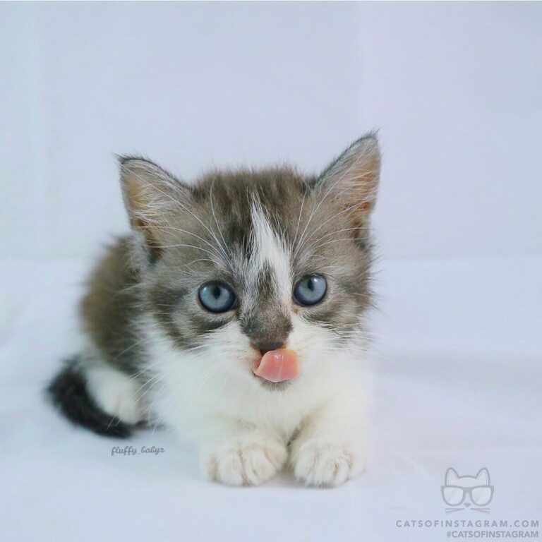 Bleh!