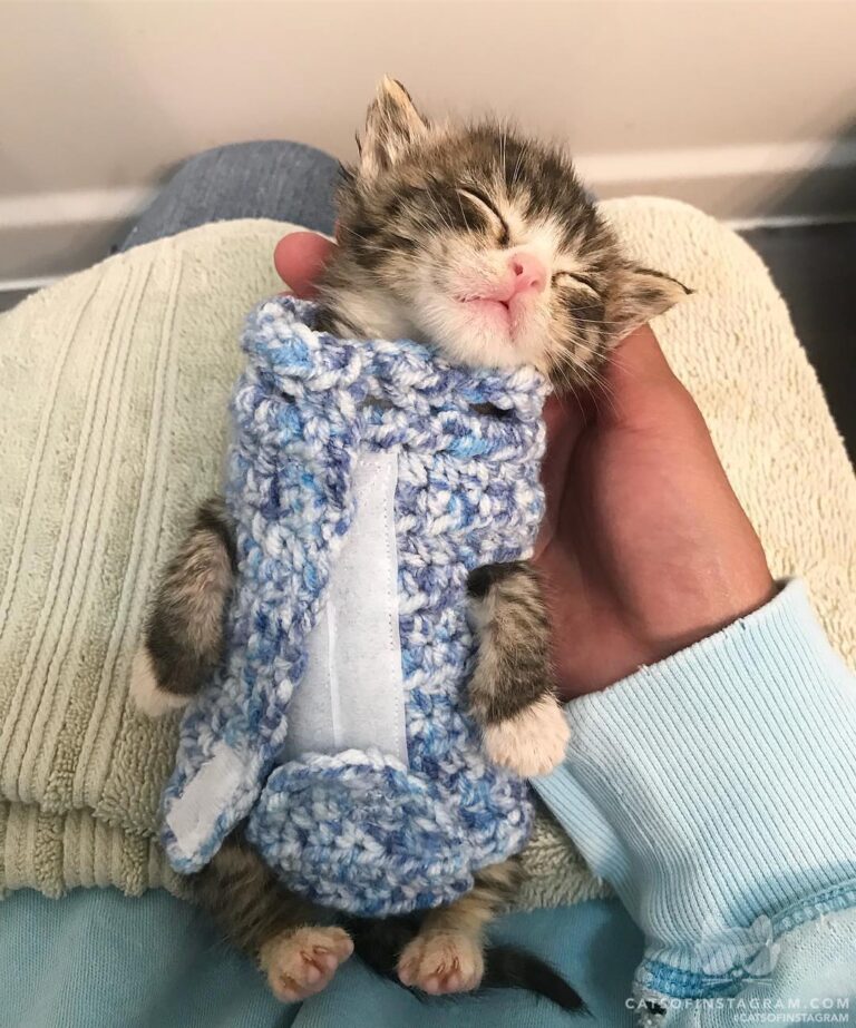“Rudy’s belly was a little too big for the onesie! . . W
