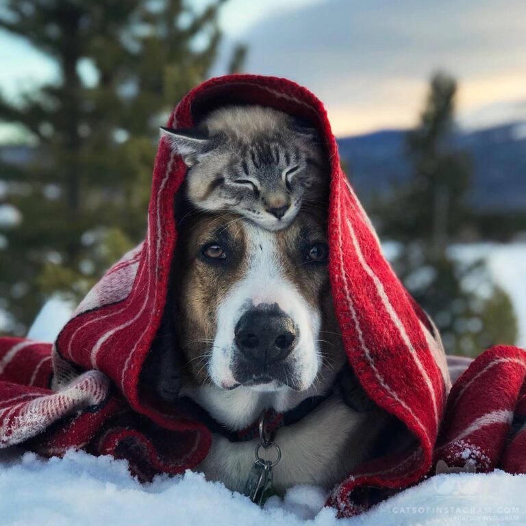 “Sunsets are best wrapped up in a cozy blanket with y