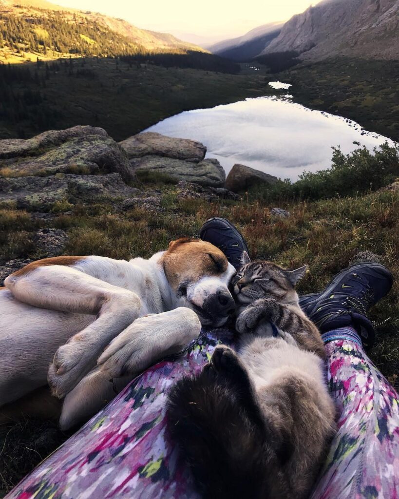 Summit snuggles