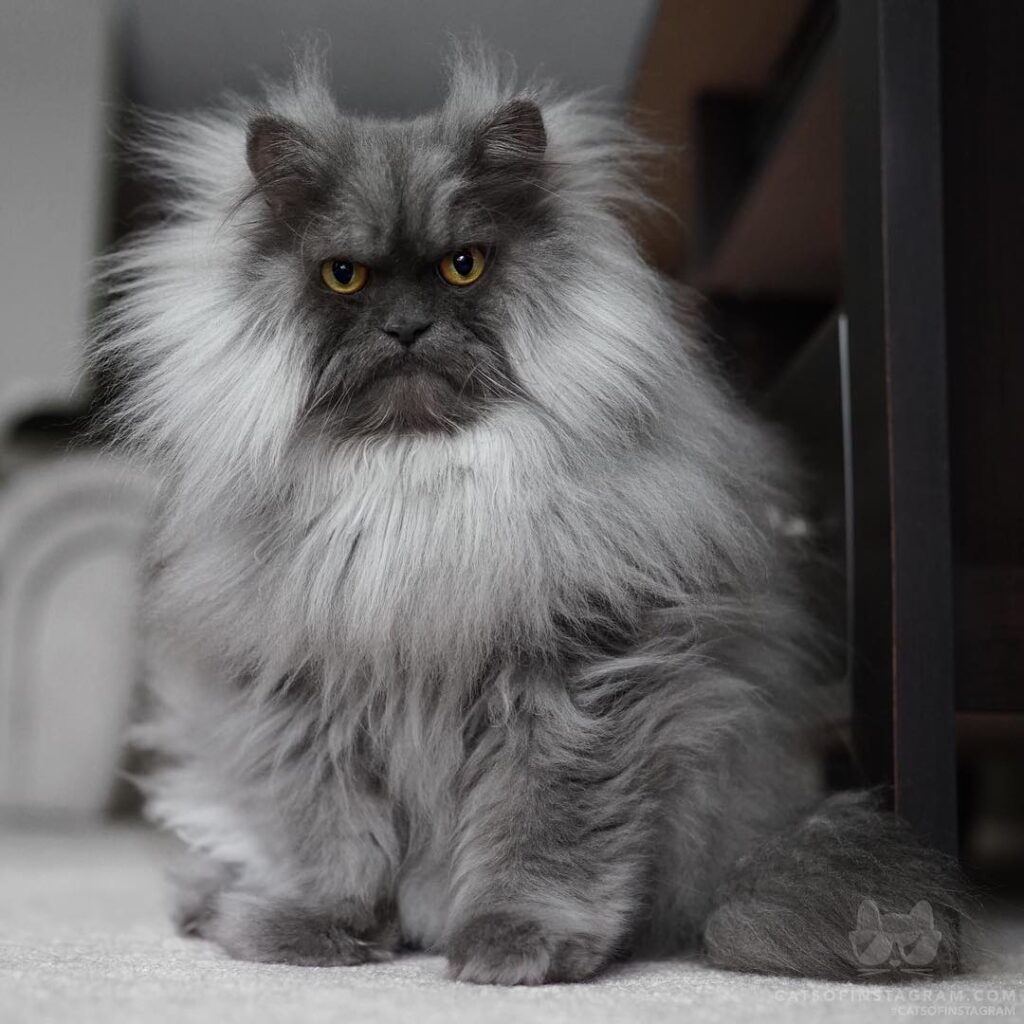 “When you go outside & it’s humid so your hair does this….