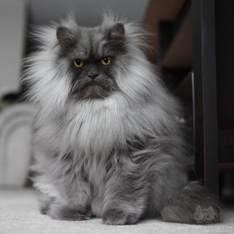 “When you go outside & it’s humid so your hair does this….