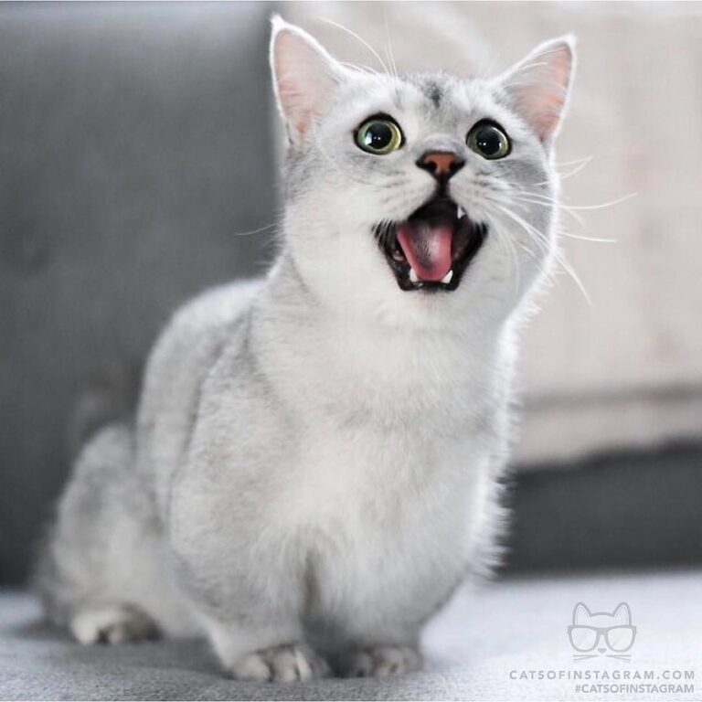 When you realize it’s finally the weekend!