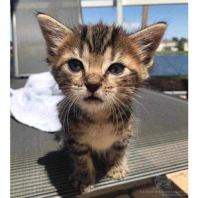 Just enjoying a little sunshine.