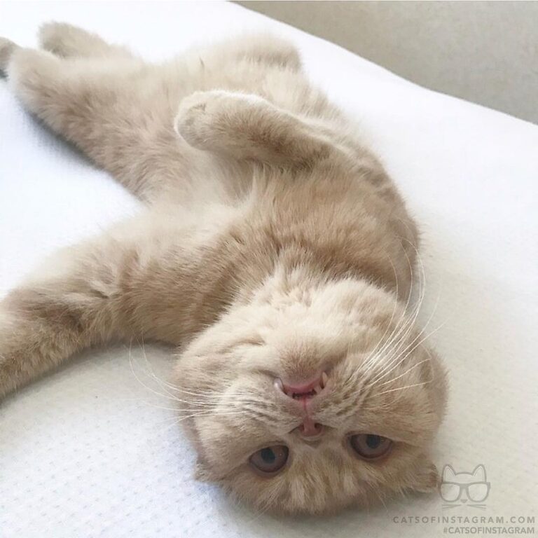 Why is everything upside down?!