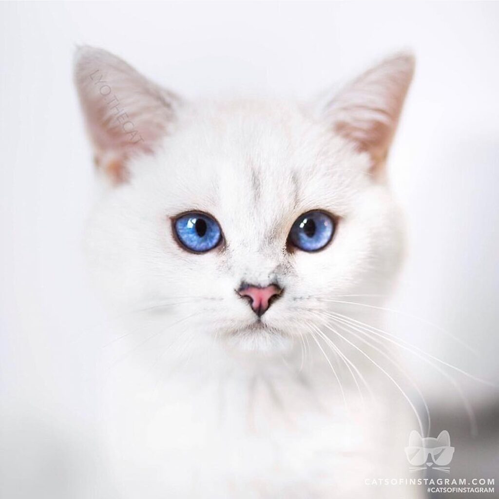 Legends say you can see the TUNIVERSE in my eyes!