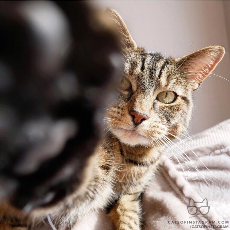 Come on Mum, let me have the camera!