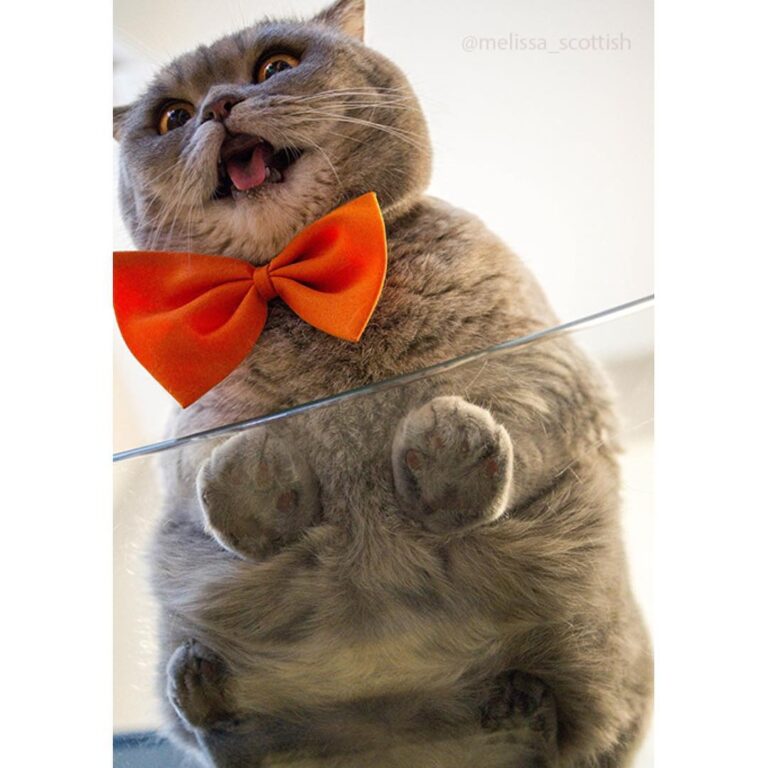 I am beautiful from any angle