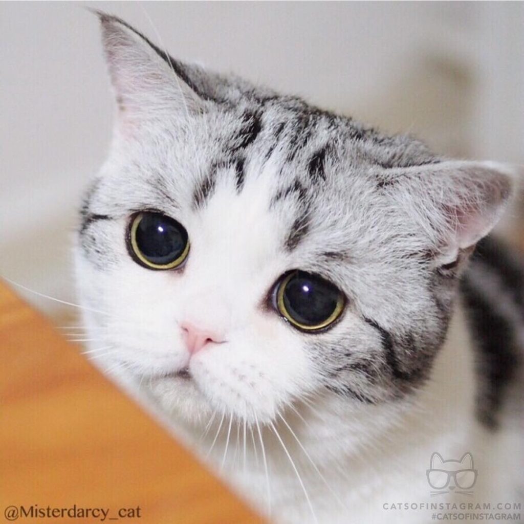 No weekend, please don’t leave me