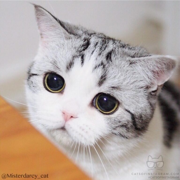 No weekend, please don’t leave me