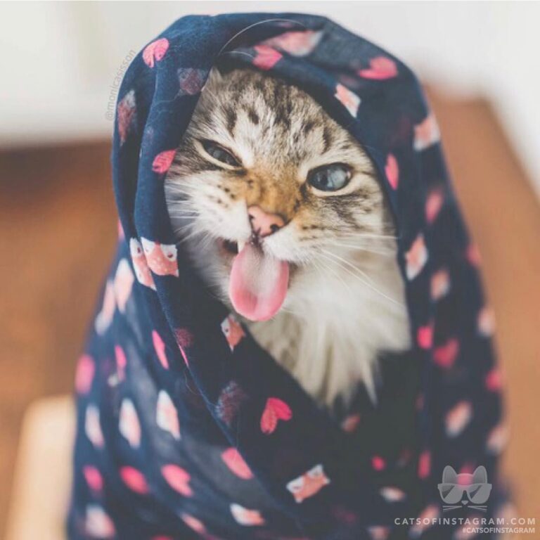 “Finnegan always knows how to put on a funny face! See more