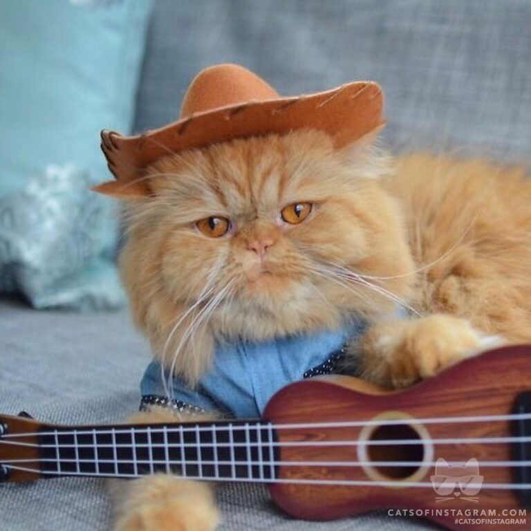 They see me yodelin’ they hatin’!