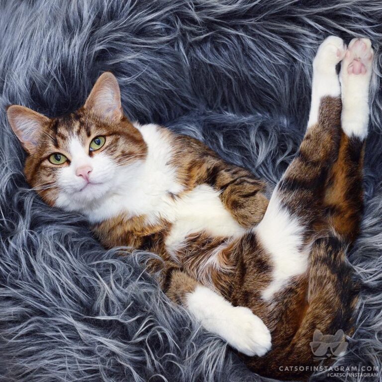 Draw me like one of your French girls