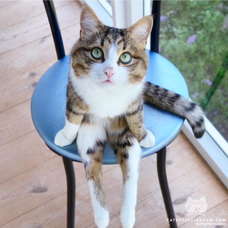 Pretty sitting