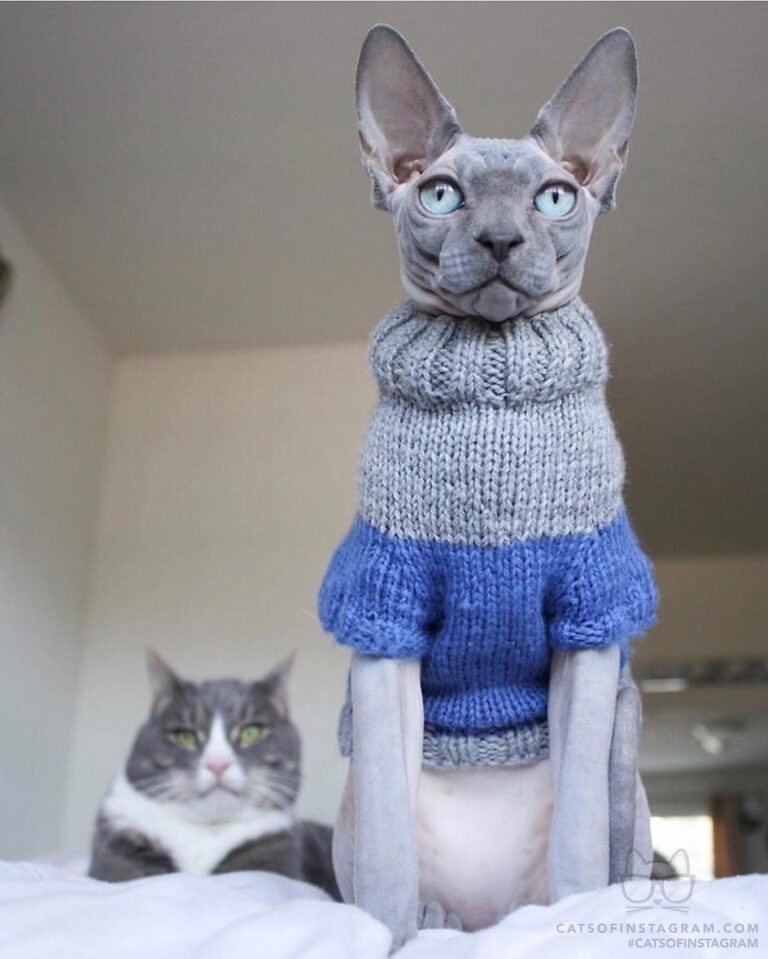 Handsome boys servin some looks
