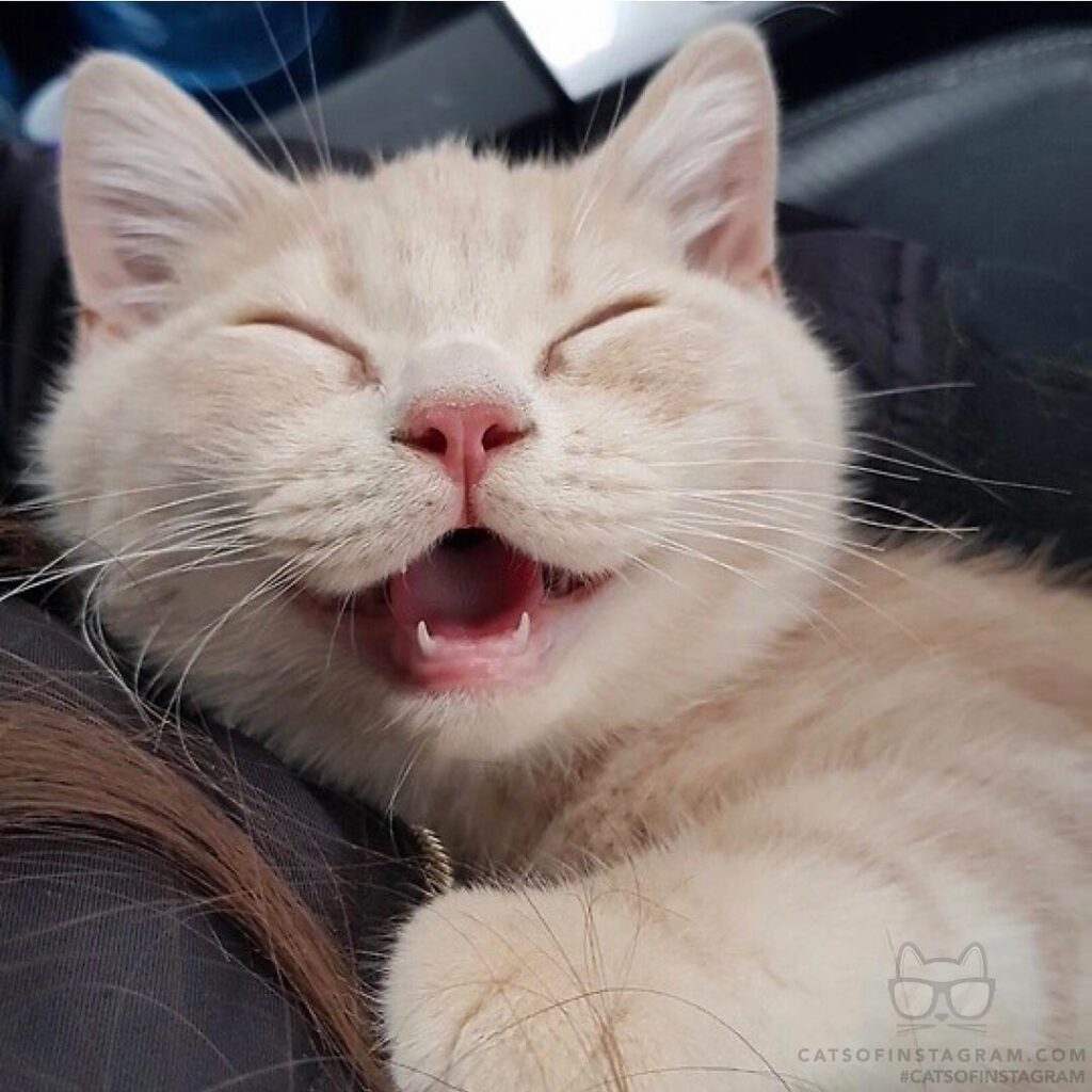 Winnie’s Million Dollar Smile