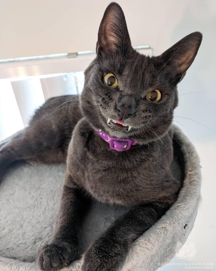 “Happy FriYay! Always remember you can be smol but tuff!” #
