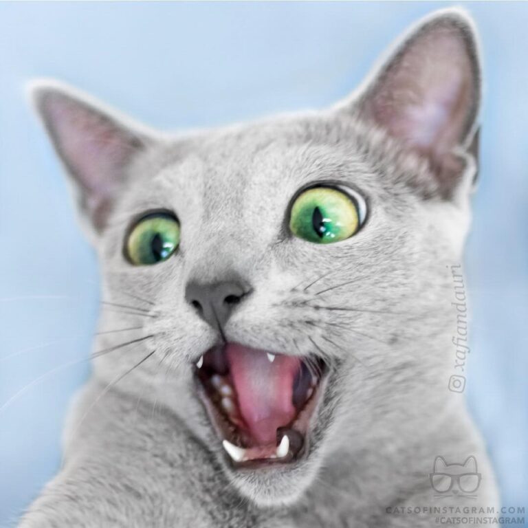 Oh my Gawd! She di-dn’t!