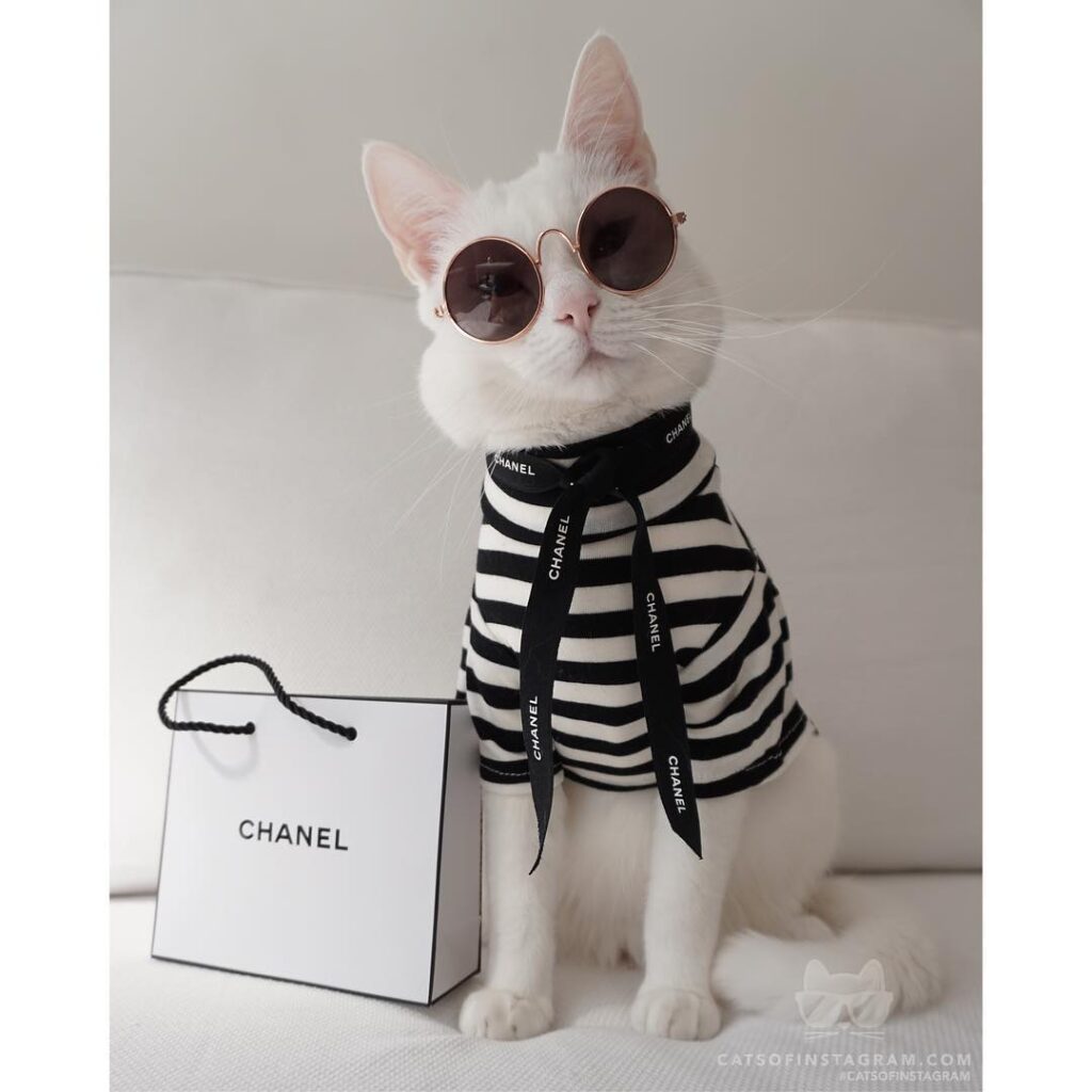 I don’t do fashion, I am Fashion