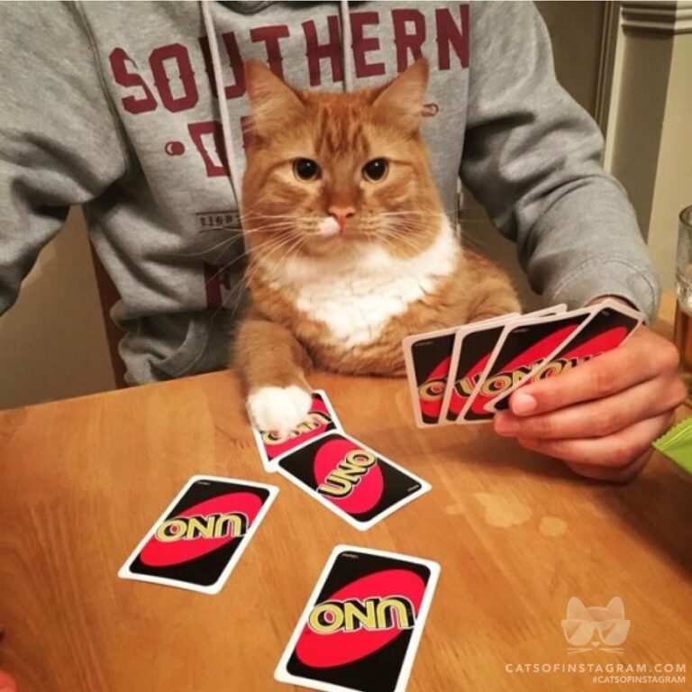 Game night with the lads