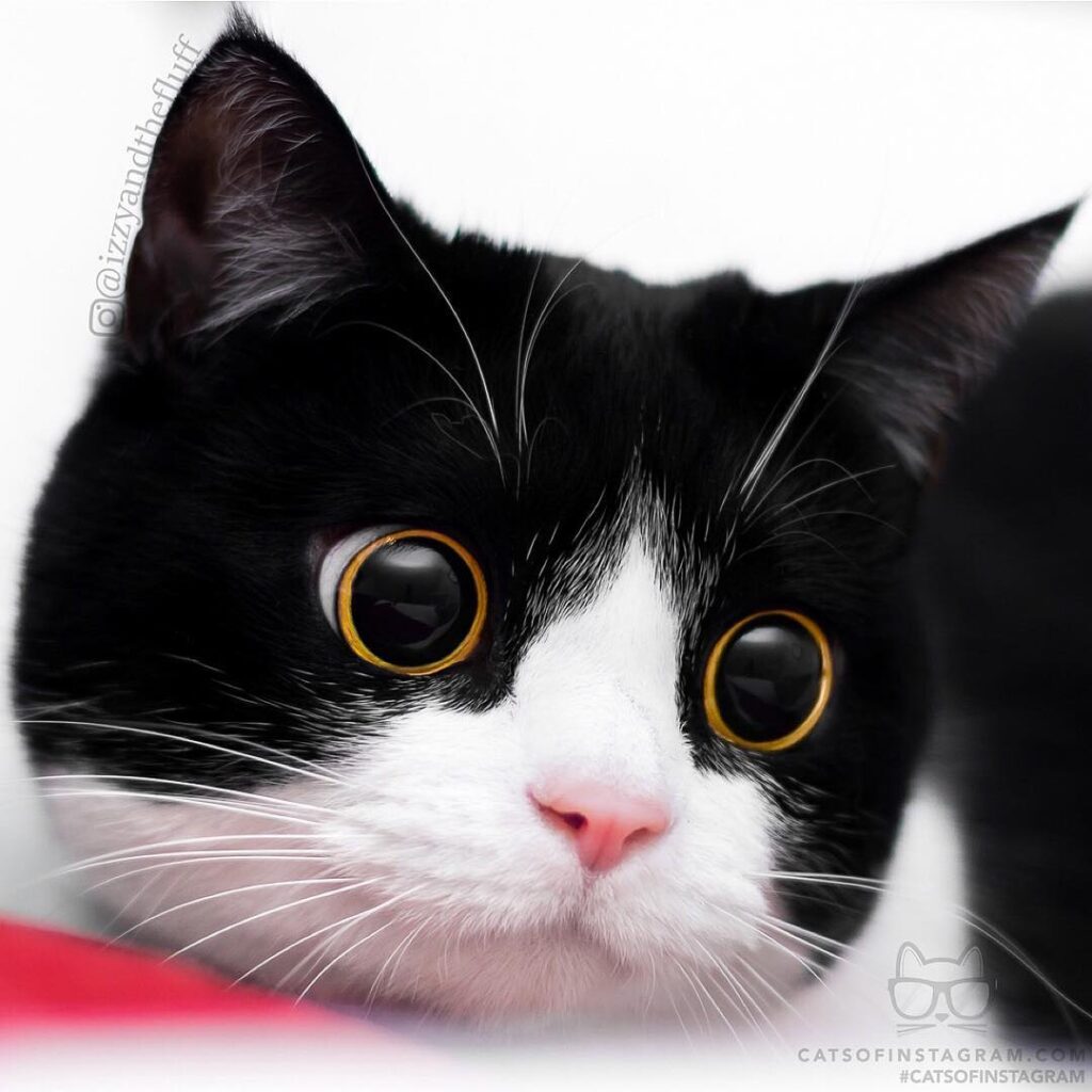 What you doing?