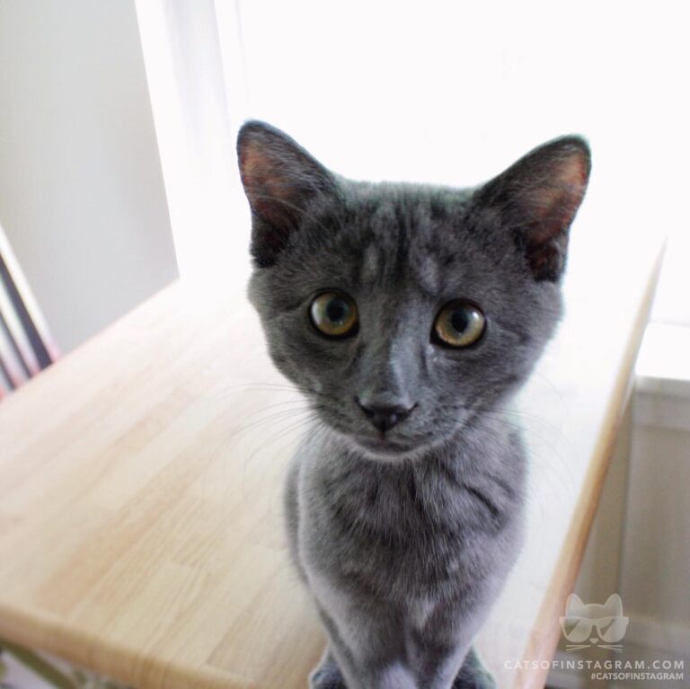 Waiting for dinner like…