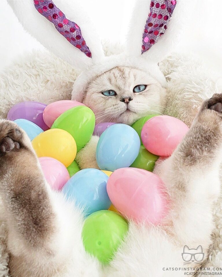 “I’ve already started carb loading for the egg hun