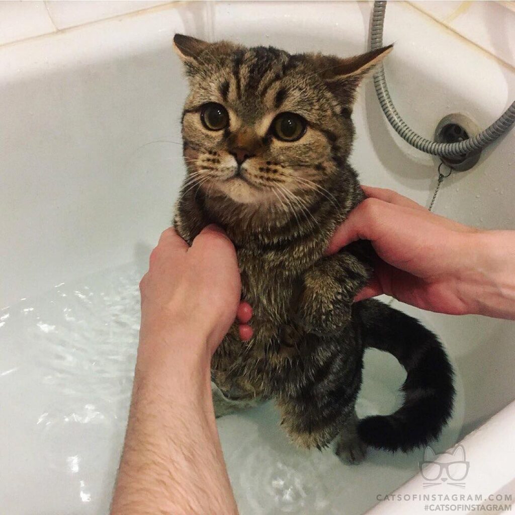 Please, Jack, dont let go of my paws!